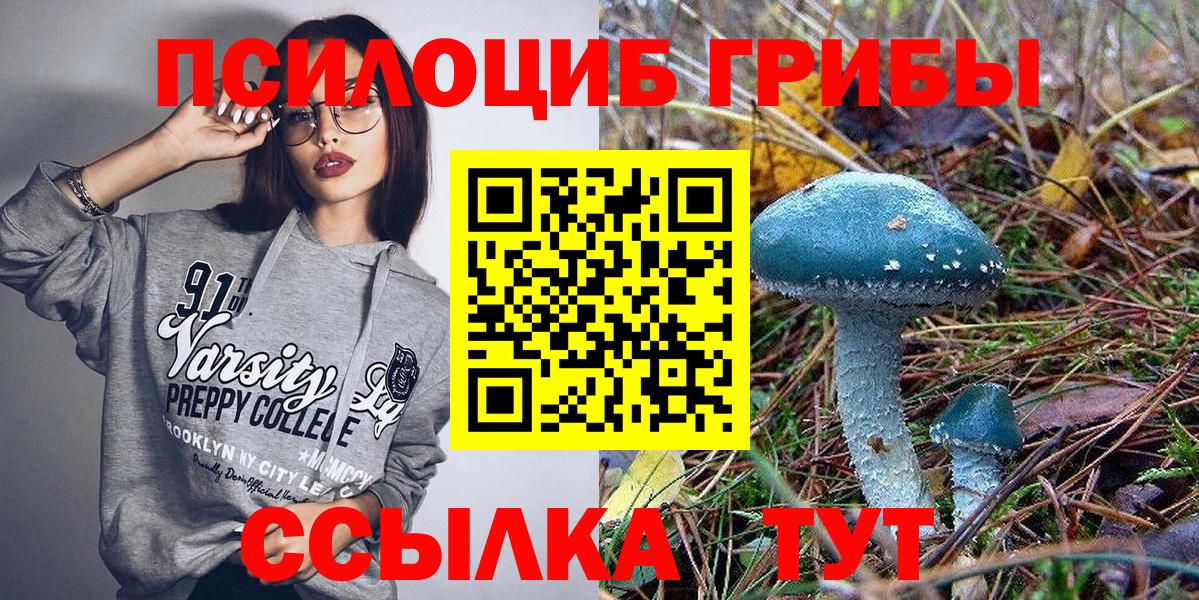 Псилоцибиновые грибы MAGIC MUSHROOMS  Вход с VPN  Похвистнево 